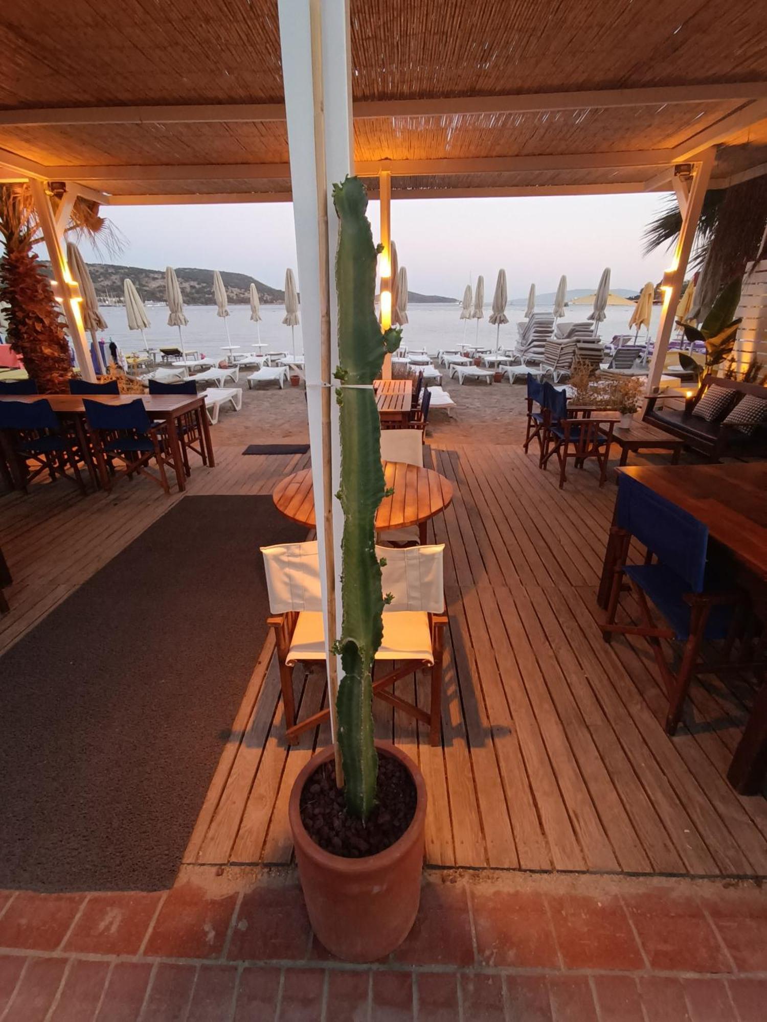 Uzhan Beach Hotel Bitez Exteriör bild