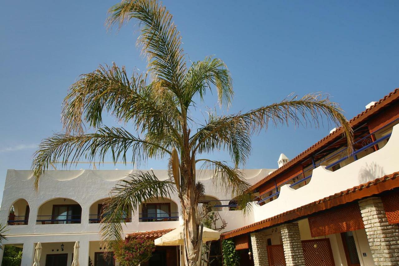 Uzhan Beach Hotel Bitez Exteriör bild